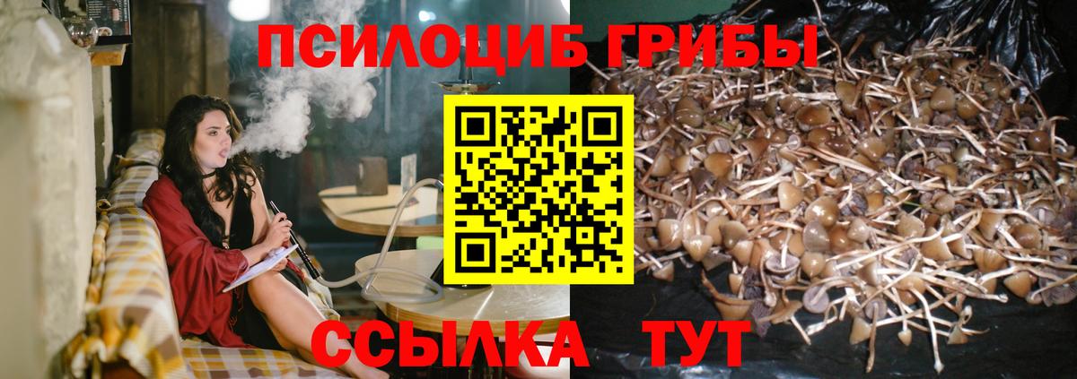 Псилоцибиновые грибы Magic Shrooms Асбест